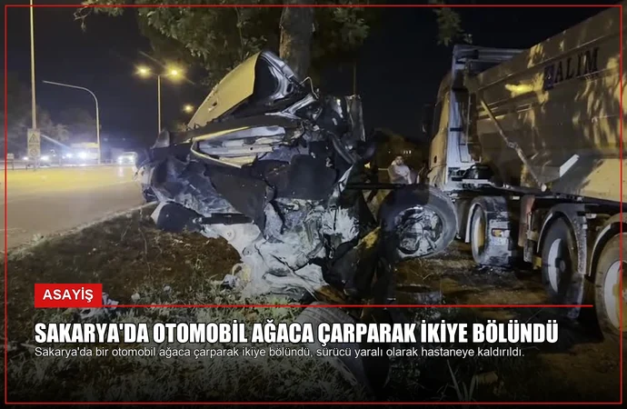Sakarya’da Otomobil Ağaca Çarparak İkiye Bölündü