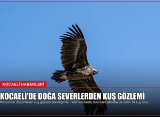 Kocaeli’de Doğa Severlerden Kuş Gözlemi