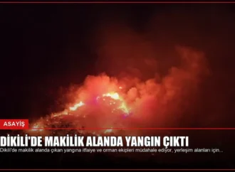 Dikili’de Makilik Alanda Yangın Çıktı