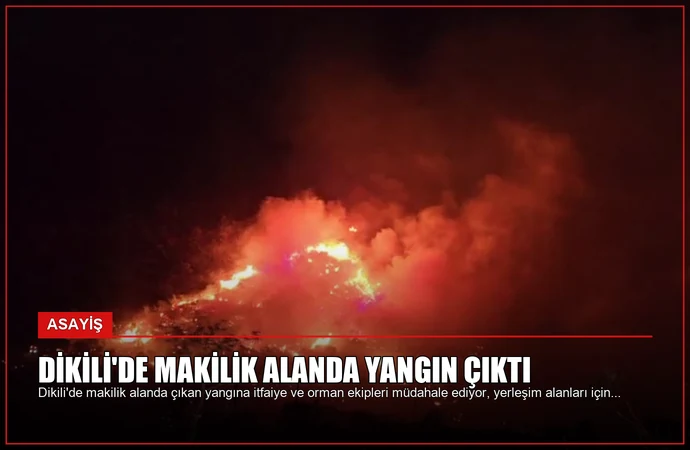 Dikili’de Makilik Alanda Yangın Çıktı