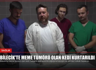 Bilecik’te Meme Tümörü Olan Kedi Kurtarıldı