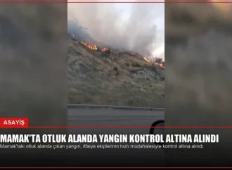 Mamak’ta Otluk Alanda Yangın Kontrol Altına Alındı