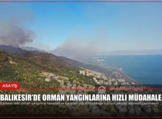 Balıkesir’de Orman Yangınlarına Hızlı Müdahale