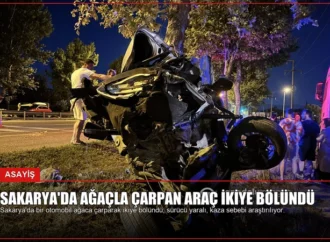 Sakarya’da Ağaçla Çarpan Araç İkiye Bölündü