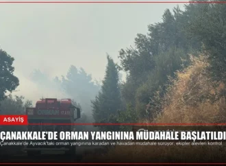 Çanakkale’de Orman Yangınına Müdahale Başlatıldı