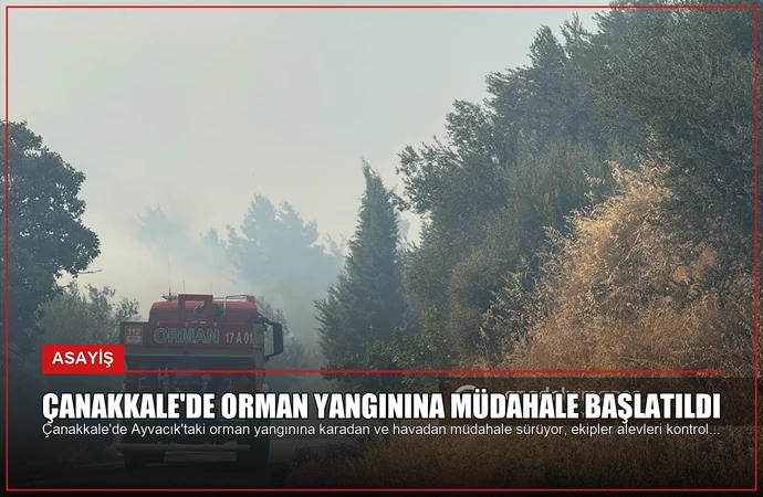 Çanakkale’de Orman Yangınına Müdahale Başlatıldı