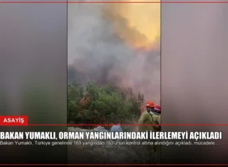 Bakan Yumaklı, Orman Yangınlarındaki İlerlemeyi Açıkladı