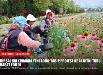 Kırsal Kalkınmada Yeni Adım: TABİP Projesi ile 41 Bitki Türü Hasat Edildi