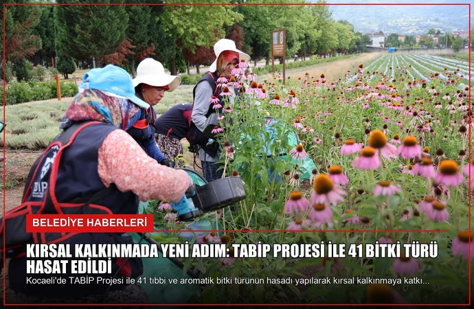 Kırsal Kalkınmada Yeni Adım: TABİP Projesi ile 41 Bitki Türü Hasat Edildi