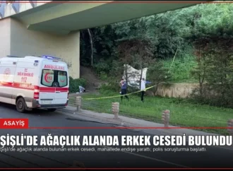 Şişli’de Ağaçlık Alanda Erkek Cesedi Bulundu