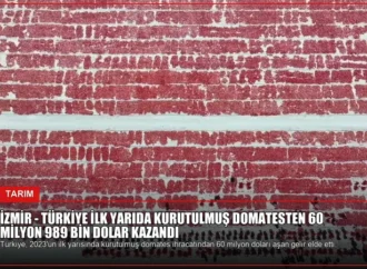 İZMİR – Türkiye ilk yarıda kurutulmuş domatesten 60 milyon 989 bin dolar kazandı