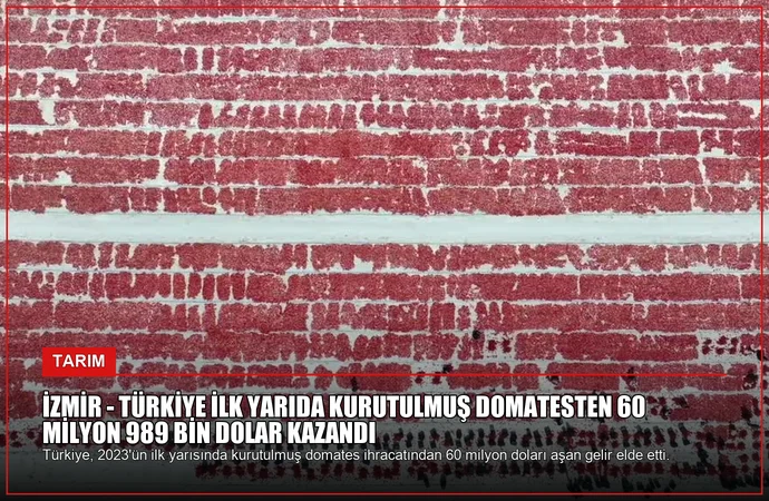 İZMİR – Türkiye ilk yarıda kurutulmuş domatesten 60 milyon 989 bin dolar kazandı