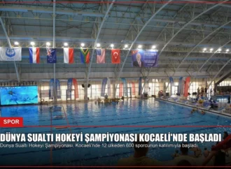 Dünya Sualtı Hokeyi Şampiyonası Kocaeli’nde Başladı