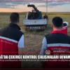 Tekirdağ’da Çekirge Kontrol Çalışmaları Devam Ediyor