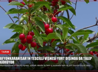 Afyonkarahisar’ın Tescilli Vişnesi Yurt Dışında da Talep Görüyor