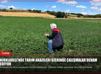 Kırklareli’nde Tarım Arazileri Üzerinde Çalışmalar Devam Ediyor