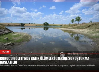 Korucu Göleti’nde Balık Ölümleri Üzerine Soruşturma Başlatıldı