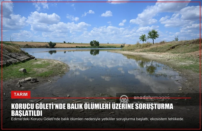 Korucu Göleti’nde Balık Ölümleri Üzerine Soruşturma Başlatıldı