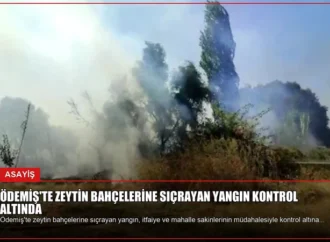 Ödemiş’te Zeytin Bahçelerine Sıçrayan Yangın Kontrol Altında