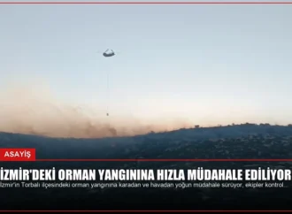 İzmir’deki Orman Yangınına Hızla Müdahale Ediliyor