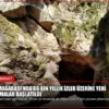İnkaya Mağarası’nda 86 Bin Yıllık İzler Üzerine Yeni Araştırmalar Başlatıldı