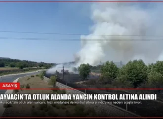 Ayvacık’ta Otluk Alanda Yangın Kontrol Altına Alındı