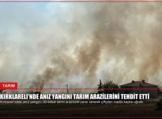 Kırklareli’nde Anız Yangını Tarım Arazilerini Tehdit Etti