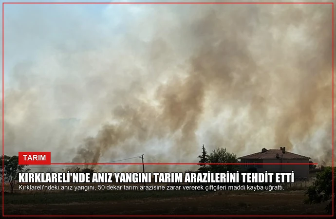 Kırklareli’nde Anız Yangını Tarım Arazilerini Tehdit Etti