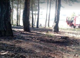 Tavşanlı’da Orman Yangını Hızla Söndürüldü