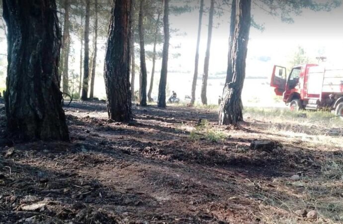 Tavşanlı’da Orman Yangını Hızla Söndürüldü