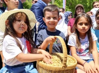 Ulukale Dutunda Rekolte Artışı Bekleniyor