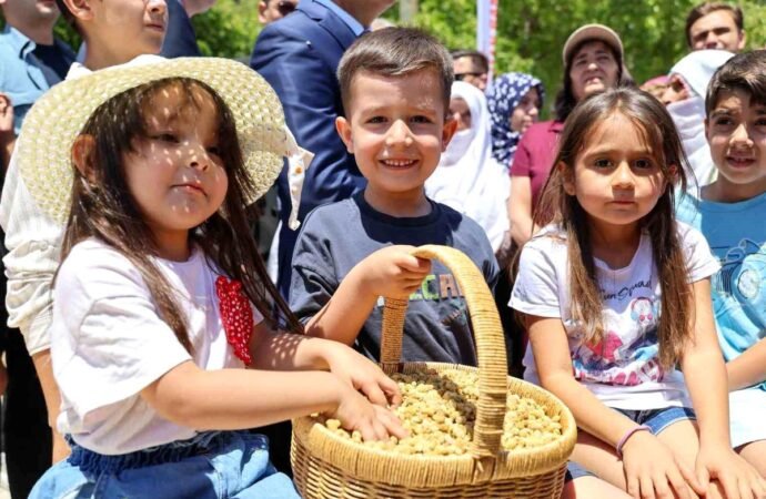 Ulukale Dutunda Rekolte Artışı Bekleniyor