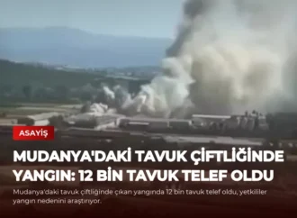 Mudanya’daki Tavuk Çiftliğinde Yangın: 12 Bin Tavuk Telef Oldu