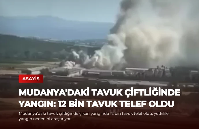 Mudanya’daki Tavuk Çiftliğinde Yangın: 12 Bin Tavuk Telef Oldu
