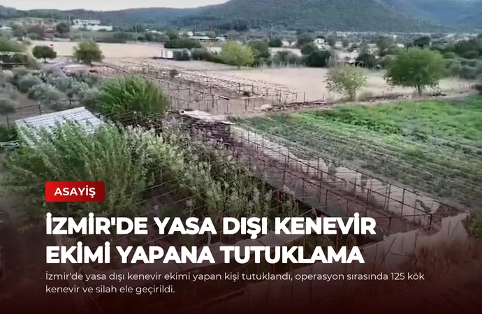 İzmir’de Yasa Dışı Kenevir Ekimi Yapana Tutuklama
