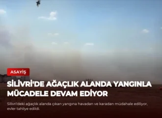 Silivri’de Ağaçlık Alanda Yangınla Mücadele Devam Ediyor