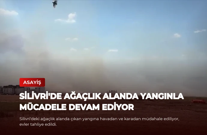 Silivri’de Ağaçlık Alanda Yangınla Mücadele Devam Ediyor