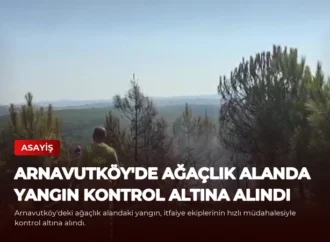 Arnavutköy’de Ağaçlık Alanda Yangın Kontrol Altına Alındı