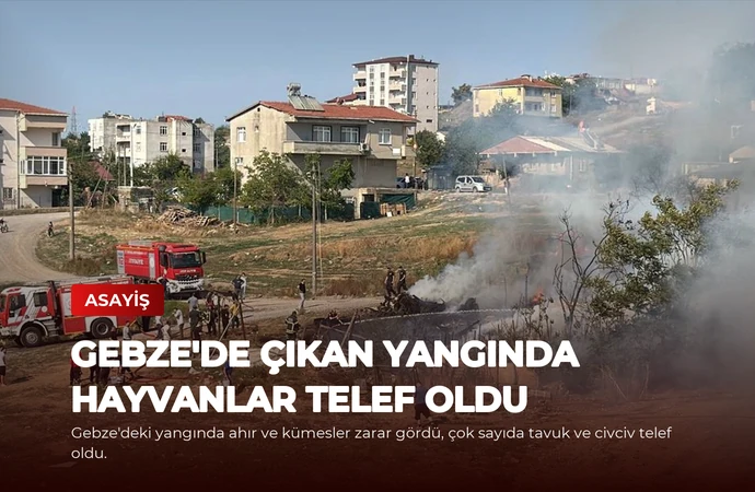 Gebze’de Çıkan Yangında Hayvanlar Telef Oldu