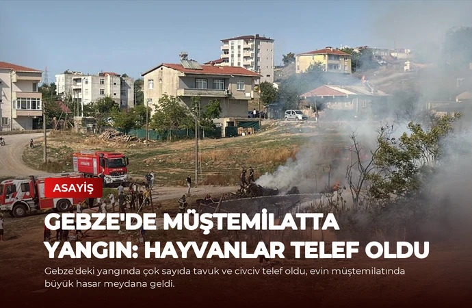 Gebze’de Müştemilatta Yangın: Hayvanlar Telef Oldu