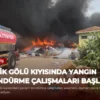 İznik Gölü Kıyısında Yangın Söndürme Çalışmaları Başladı