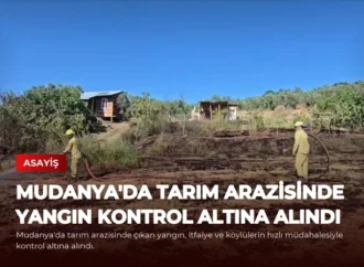 Mudanya’da Tarım Arazisinde Yangın Kontrol Altına Alındı