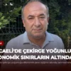 Kocaeli’de Çekirge Yoğunluğu Ekonomik Sınırların Altında