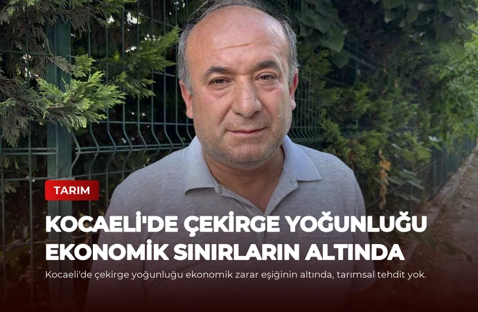 Kocaeli’de Çekirge Yoğunluğu Ekonomik Sınırların Altında
