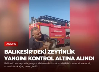 Balıkesir’deki Zeytinlik Yangını Kontrol Altına Alındı