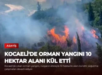 Kocaeli’de Orman Yangını 10 Hektar Alanı Kül Etti