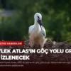 Leylek Atlas’ın Göç Yolu GPS ile İzlenecek