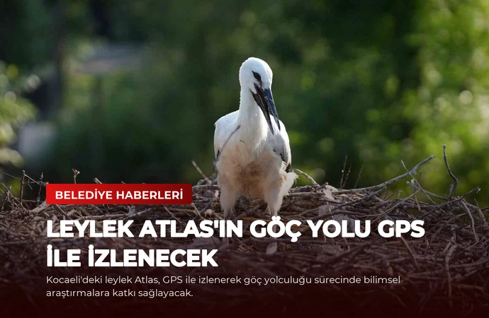 Leylek Atlas’ın Göç Yolu GPS ile İzlenecek