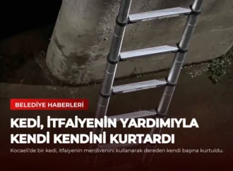Kedi, İtfaiyenin Yardımıyla Kendi Kendini Kurtardı
