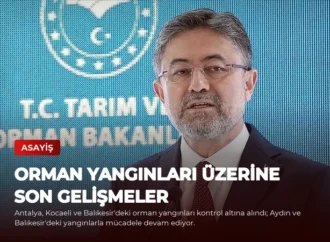 Orman Yangınları Üzerine Son Gelişmeler